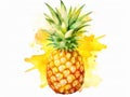 Watercolor Whole Pineapple Isolated, Aquarelle Ananas, Comosus, Creative Watercolor Tropical Fruit Royalty Free Stock Photo
