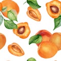 Watercolor whole and segment apricots seamless pattern isolated on white. Orange fruits illustration. Peach, leaves Royalty Free Stock Photo