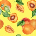 Watercolor whole and segment apricots seamless pattern isolated on yellow. Orange fruits illustration. Peach, leaves Royalty Free Stock Photo