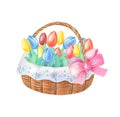 Watercolor wicker basket with tulips and pink bow.Watercolour greeting card with red, yellow,blue flower.Spring watercolor