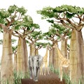Watercolor wild Africa animal Elephant, Giraffe and Baobab tree banner. Nature Africa, southern trees in the savannah Royalty Free Stock Photo
