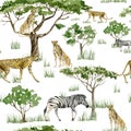 Watercolor wild Africa animal seamless pattern. savannah cat Cheetah, Zebra and tree. Nature Africa for nursery decor, baby shower Royalty Free Stock Photo