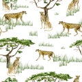 Watercolor wild Africa animal seamless pattern. Savannah Cheetah, tree and graas. Nature Africa for nursery decor, baby shower,