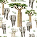 Watercolor wild Africa animal seamless pattern. Savannah Elephant and baobab tree. Nature Africa for nursery decor, baby shower