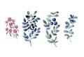 Watercolor wild berry set, forest fruit collection Royalty Free Stock Photo