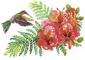 Watercolor wild exotic birds on flowers