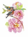 Watercolor wild exotic birds on flowers