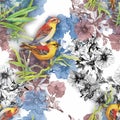 Watercolor Wild exotic birds on flowers seamless pattern on white background