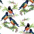 Watercolor Wild exotic birds on flowers seamless pattern on white background Royalty Free Stock Photo