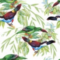 Watercolor Wild exotic birds on flowers seamless pattern on white background Royalty Free Stock Photo