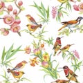 Watercolor Wild exotic birds on flowers seamless pattern on white background Royalty Free Stock Photo