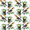 Watercolor Wild exotic birds on flowers seamless pattern on white background