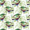 Watercolor Wild exotic birds on flowers seamless pattern on white background