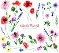 Watercolor wild field flowers set. Collection of isolated images of poppy, stork, clover, lavender, cornflower, echinacea, burdock