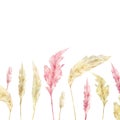 Watercolor wild floral banner. Pampas graas pink and yellow color for design boho and modern style.