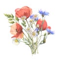 Watercolor wild flower bouquet, red poppies, Blue Cornflower herb and chamomile isolated on white background. Good for