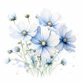 Watercolor Wild Flowers: Blue Cosmos Watercolor Illustration