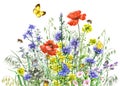 Watercolor wild flowers and insects