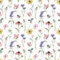 Watercolor wild flowers seamless pattern. Hand painted meadow flowers on white background. Floral wallpapers with butterflies