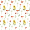 Watercolor wild flowers seamless pattern. Meadow flowers and floral poppy, chamomile for textile fabric, wrapping paper Royalty Free Stock Photo