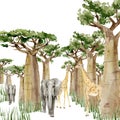 Watercolor wild forest Africa animal Elephant, Giraffe and Baobab tree banner. Nature Africa, southern trees in the savannah