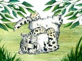 Watercolor wild forest animals: snow leopard kitten, irbis on forest lawn scene. Woodland hand-painted nature Royalty Free Stock Photo