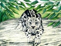 Watercolor wild forest animals: snow leopard kitten, irbis on stone. Woodland hand-painted nature illustration for kids Royalty Free Stock Photo