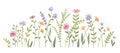 Watercolor wild herbs and flowers illustration. Hand painted meadow with grass and wildflowers isolated on white