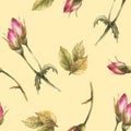 Watercolor wild rose hip buds flower leaves, dog brier rose seamless pattern Hand drawn illustration Royalty Free Stock Photo