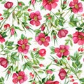 Bright watercolor hand-painted wild rose seamless pattern on a white background Royalty Free Stock Photo