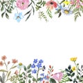 Watercolor wildflower frame on white background. Beautiful summer meadow flowers border Royalty Free Stock Photo