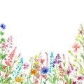 watercolor wildflower border, white background, colorful, pink purple blue yellow green Royalty Free Stock Photo