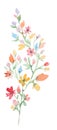 Watercolor wildflower branch