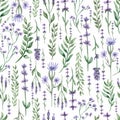 Watercolor wildflower floral pattern, delicate flower wallpaper with field flowers , meadow wildflowers on white background