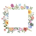 Watercolor wildflower frame on white background. Beautiful and colorful hand painted summer meadow floral border Royalty Free Stock Photo