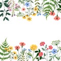 Watercolor wildflower frame on white background. Beautiful summer meadow flowers border. Colorful illustration Royalty Free Stock Photo