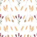 Watercolor wildflower seamless floral pattern, delicate flower bouquet wallpaper wheat and different wildflowers background.