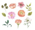 Watercolor wildflower set. Hand painted pink and orange flowers, greenery foliage and leaves, isolated on white background. Royalty Free Stock Photo