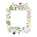Watercolor wildflower wreath. Botanical spring summer flowers frame