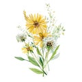 Watercolor wildflowers arrangement illustration on isolated white background. Floral decor with yellow flowers