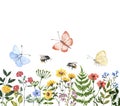 Watercolor wildflowers border. Bright colorful summer flowers, greenery leaves, herbs, bees, butterflies, isolated on white Royalty Free Stock Photo