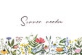 Watercolor wildflowers border on white background. Summer meadow floral frame Royalty Free Stock Photo