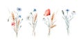 Watercolor wildflowers bouquets and frames with poppy cornflower chamomile, rye and wheat spikelets background Royalty Free Stock Photo