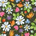 Watercolor wildflowers, daisy, clover and butterfly seamless pattern on dark background