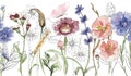 Watercolor wildflowers and grass repeat border illustration, meadow flowers frame clipart, florals seamless border Royalty Free Stock Photo