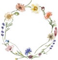 Watercolor wildflowers and grass wreath illustration, meadow flowers frame clipart Royalty Free Stock Photo
