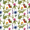 Watercolor wildflowers seamless pattern with the different meadow flowers. Clover, blue thistle, raspberry, dandelion pattern.