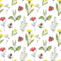 Watercolor wildflowers seamless pattern. Hand drawn red cosmoy, yellow dandelion, green herbs, weed, ladybug, bee. summer meadow Royalty Free Stock Photo