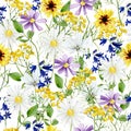 Watercolor wildflowers seamless pattern. Meadow flowers and floral, bright yellow and purple bloom for textile fabric Royalty Free Stock Photo