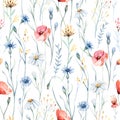 Watercolor wildflowers seamless pattern with poppy, cornflower chamomile, rye and wheat spikelets Royalty Free Stock Photo